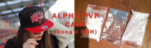 гашик Арсеньев