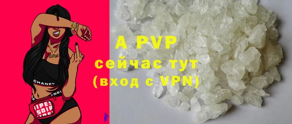 гашик Арсеньев