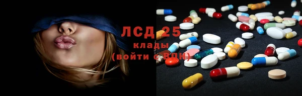 гашик Арсеньев