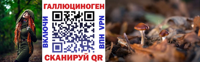 Псилоцибиновые грибы Magic Shrooms  Певек 